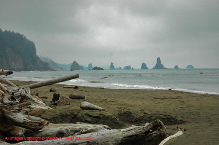 WA_021b